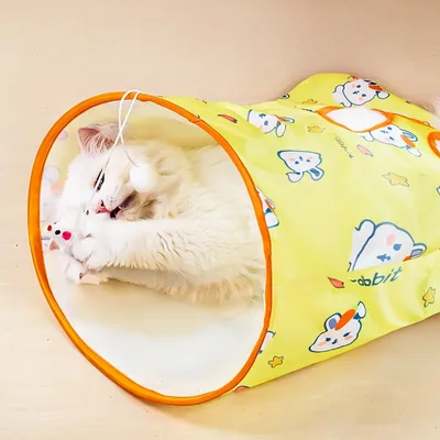 ZenPets Tunnel de jeu pour chat
