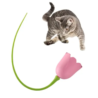 Pet Planet Jouet pour chat Boule électronique magique