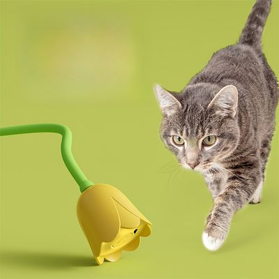 Pet Planet Jouet pour chat Boule électronique magique