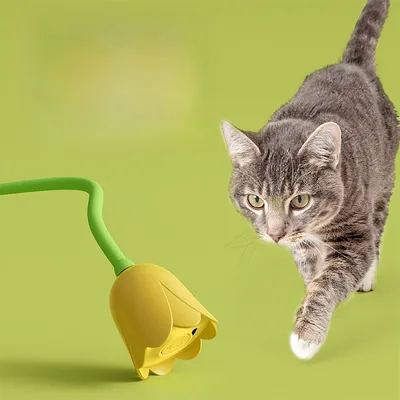 Pet Planet Jouet pour chat Boule électronique magique