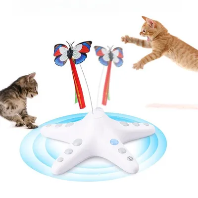 IntiMeg Jouet interactif pour chat avec induction intelligente