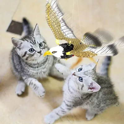 IntiMeg Jouet d'oiseau volant électronique pour chat