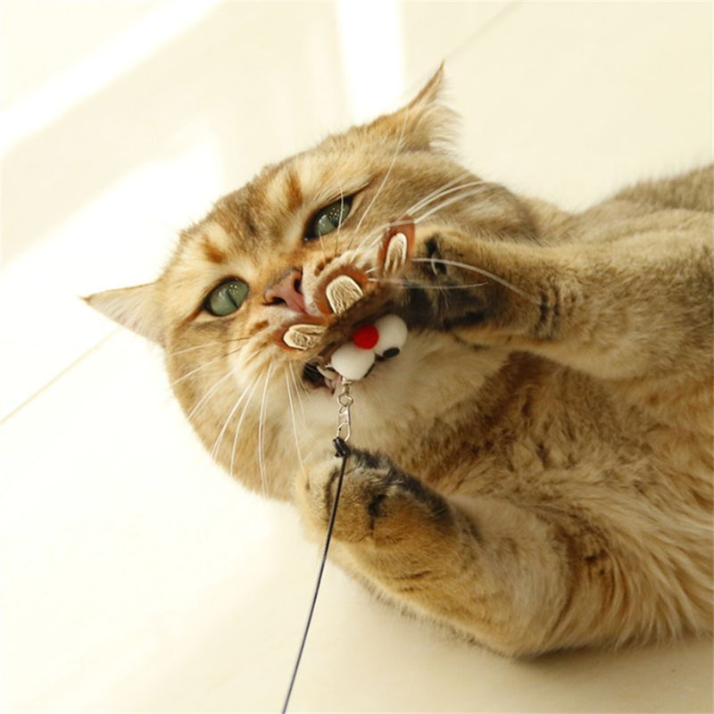 IntiMeg Baton de jeu pour chat avec hibou et oiseau en ficelle