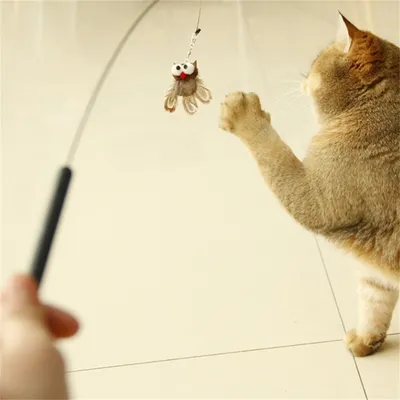 IntiMeg Baton de jeu pour chat avec hibou et oiseau en ficelle