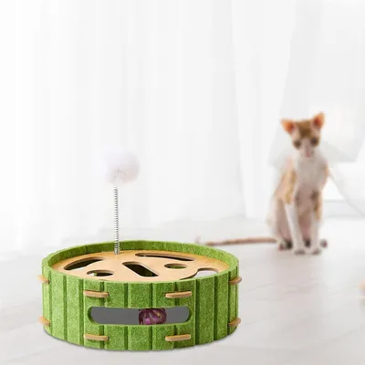 IntiMeg Boîte de jeu pour chat avec piste et balles interactives