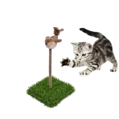 IntiMeg Jouet griffoire pour chats en forme d'oiseau