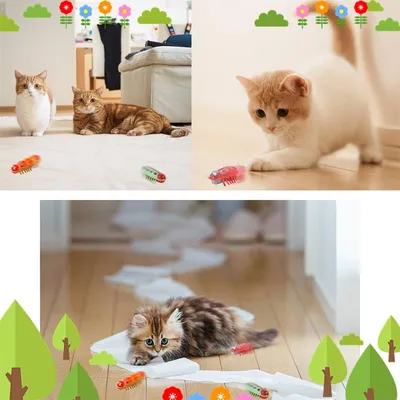 IntiMeg Mini Jouet pour Chat Coccinelle 4 Pièces