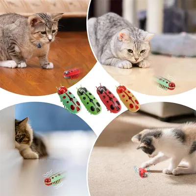 IntiMeg Mini Jouet pour Chat Coccinelle 4 Pièces