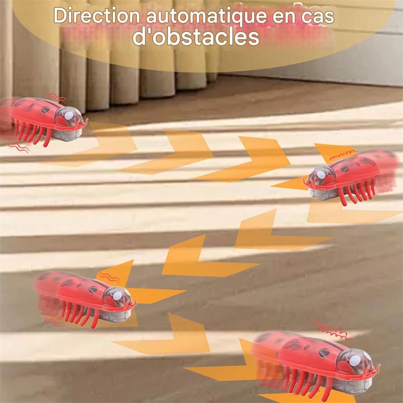 IntiMeg Mini Jouet pour Chat Coccinelle 4 Pièces