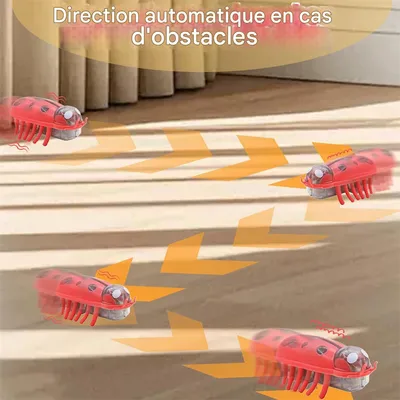 IntiMeg Mini Jouet pour Chat Coccinelle 4 Pièces