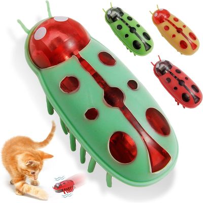 IntiMeg Mini Jouet pour Chat Coccinelle 4 Pièces