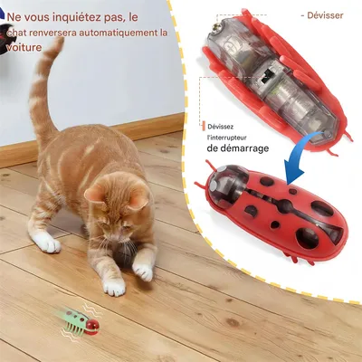 IntiMeg Mini Jouet pour Chat Coccinelle 4 Pièces