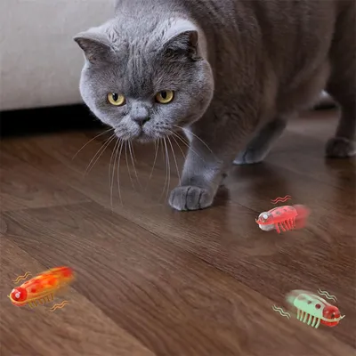 IntiMeg Mini Jouet pour Chat Coccinelle 4 Pièces