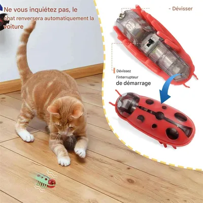 IntiMeg Mini Jouet pour Chat Coccinelle 4 Pièces