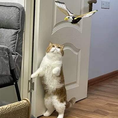 IntiMeg Jouet d'oiseau volant électronique pour chat