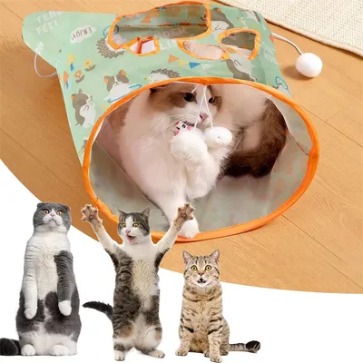 ZenPets Tunnel de jeu pour chat