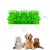 Pet Planet Tapis Slow Food en herbe