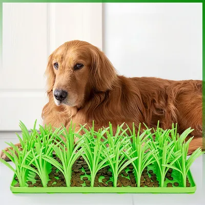 Pet Planet Tapis Slow Food en herbe