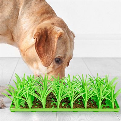 Pet Planet Tapis Slow Food en herbe