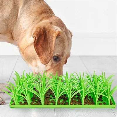 Pet Planet Alfombra de hierba Slow Food