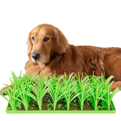Pet Planet Alfombra de hierba Slow Food