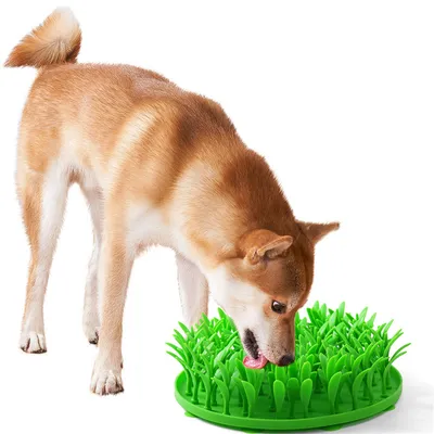 Pet Planet Tapis anti glouton en silicone imitant l'herbe pour chien