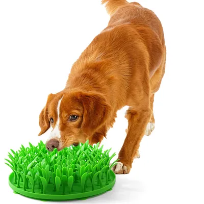Pet Planet Tapis anti glouton en silicone imitant l'herbe pour chien Pet Planet Tapis anti glouton en silicone imitant l'herbe pour chien