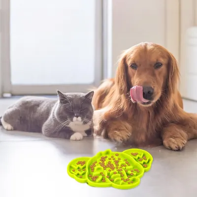 ZenPets cuenco de silicona para perros