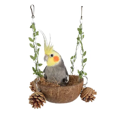 IntiMeg Nid d'oiseau en noix de coco