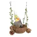 IntiMeg Vogelnest aus Kokosnuss