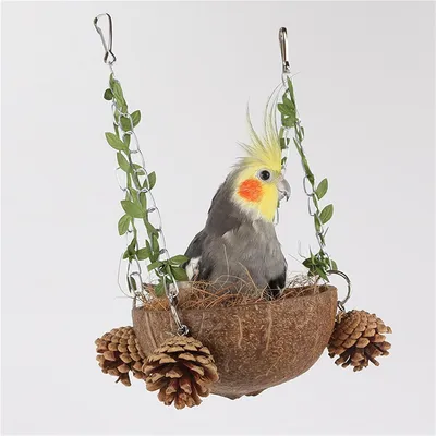 IntiMeg Nid d'oiseau en noix de coco