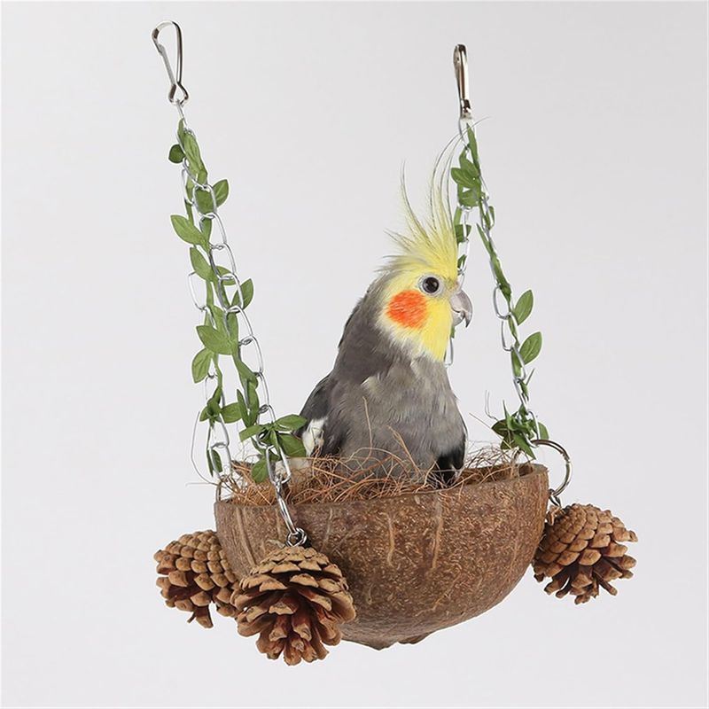 IntiMeg Nid d'oiseau en noix de coco