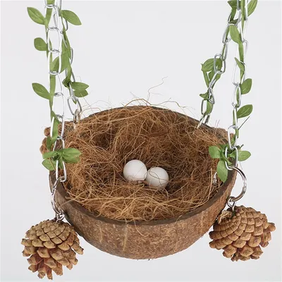 IntiMeg Nid d'oiseau en noix de coco