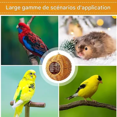 ZenPets Nid d'oiseau sphérique en rotin synthétique