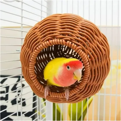 ZenPets Nid d'oiseau sphérique en rotin synthétique