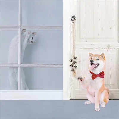 IntiMeg Sonnette pour chien