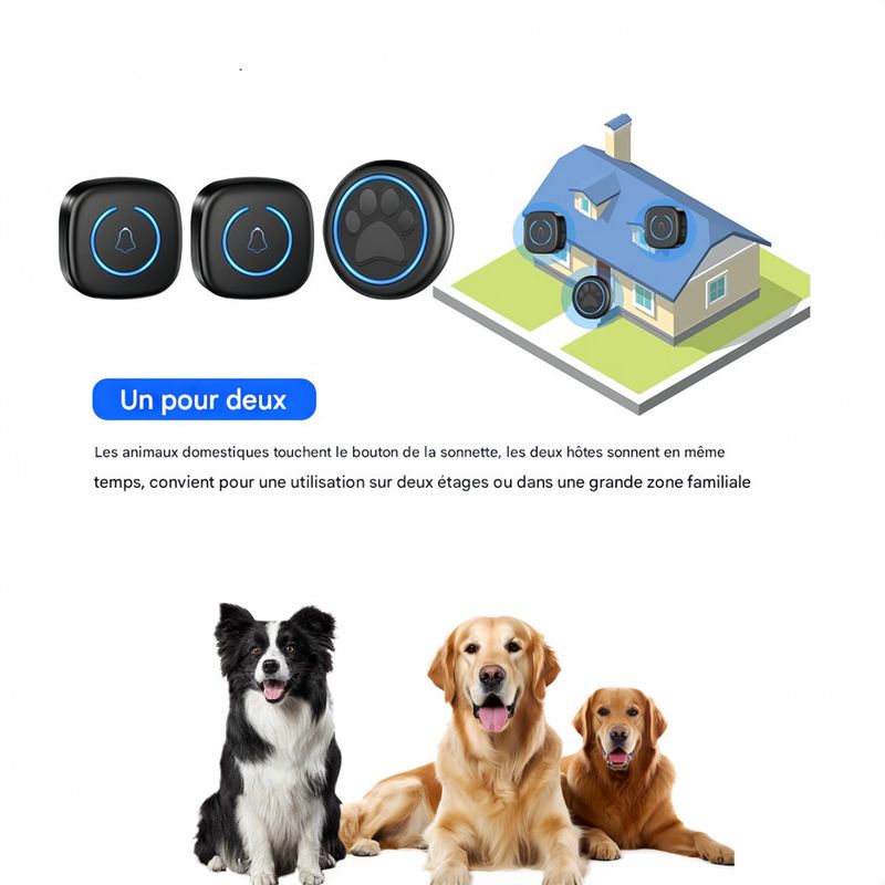 IntiMeg Sonnette sans fil pour chien