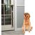 IntiMeg Cloche de dressage pour chats et chiens