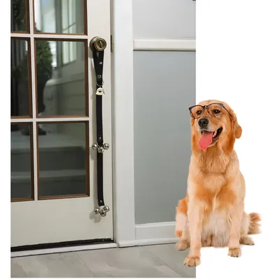 IntiMeg Cloche de dressage pour chats et chiens