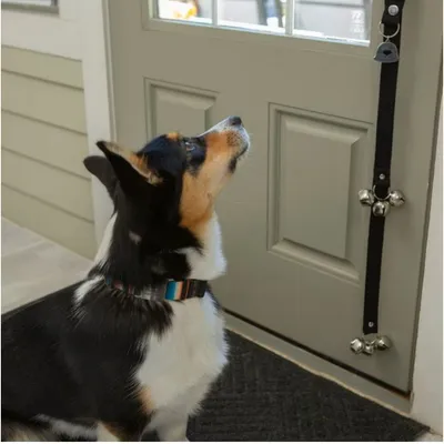 IntiMeg Cloche de dressage pour chats et chiens