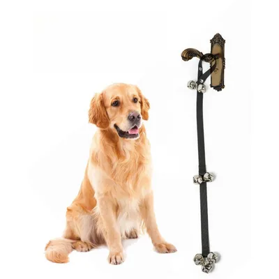 IntiMeg Cloche de dressage pour chats et chiens