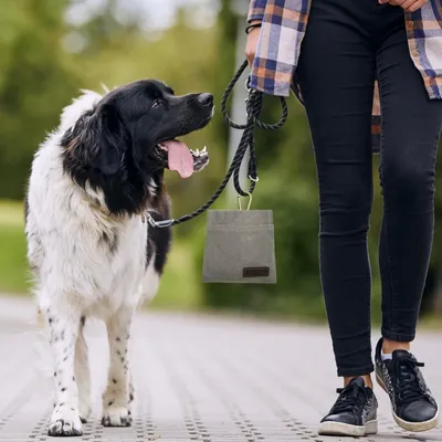 ZenPets Sac de dressage pour chien