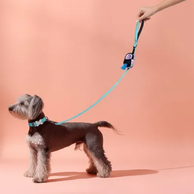 ZenPets Sac à friandises pour animaux