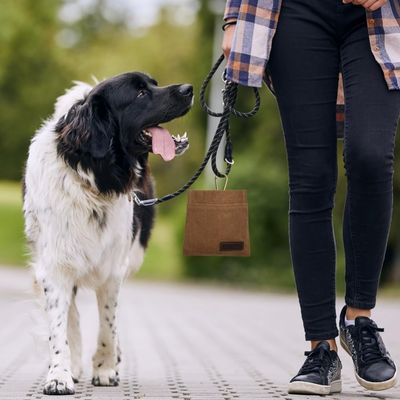 ZenPets Sac de dressage pour chien
