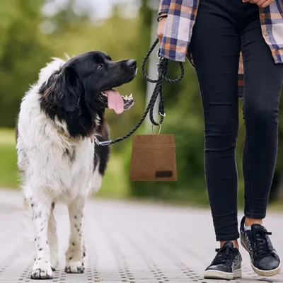 ZenPets Sac de dressage pour chien