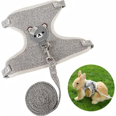 Pet Planet Ensemble Harnis Et Laisse Pour Chats Chiens Et Petits Animaux