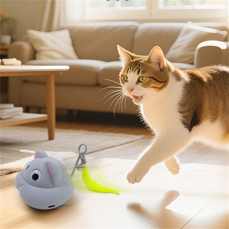IntiMeg Jouet électronique en forme de souris pour chats et chiens