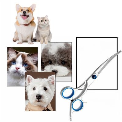 Pet Planet Kit de ciseaux de toilettage pour chien et chat