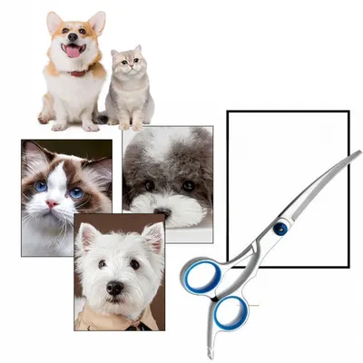 Pet Planet Kit de ciseaux de toilettage pour chien et chat