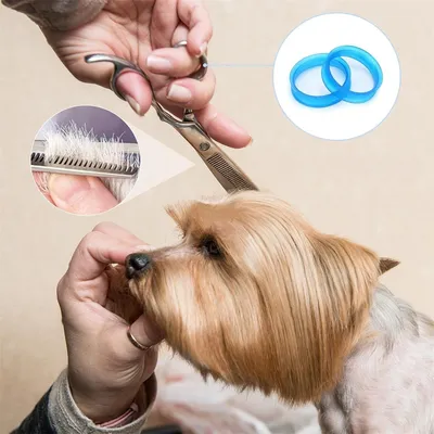 Pet Planet Kit de ciseaux de toilettage pour chien et chat